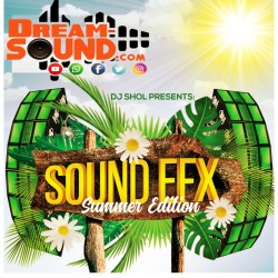 DJ Shol - Sound Efx (Summer...